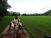 Ebenrainfahrt-Sissach-2012-1