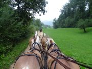 Ebenrainfahrt-Sissach-2012-4