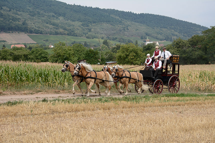 traditionsfahrt.2015elsass